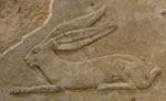 Ancient Egyptian Hieroglyphic Hare
